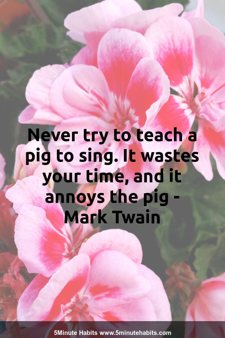 Never try to teach a pig to sing. It wastes your time, and it annoys the pig - Mark Twain